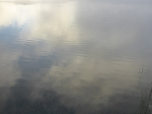 relfections of soft clouds in athe rippled surface of a lake