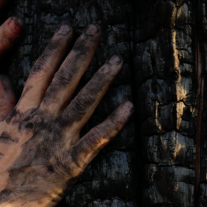 A woman's hands touch the charred trunk of a tree